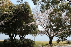 佐鳴湖公園