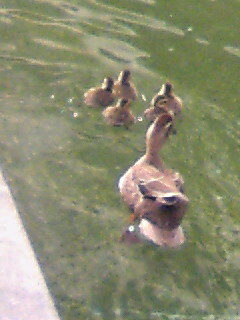 2014030304869_090614_164907.JPG