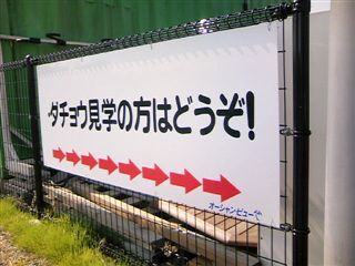 オーシャンビュー