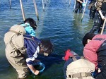 はまなこ里海の会1