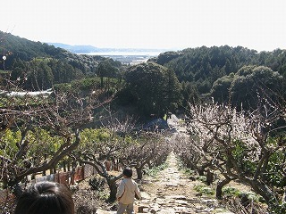 長楽寺