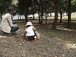 2014030301127_donguri2.jpg