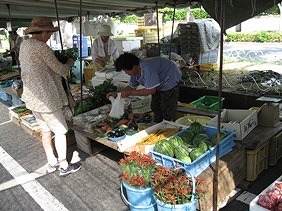 高知の日曜市