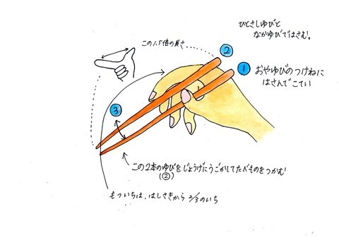 おはしの持ち方