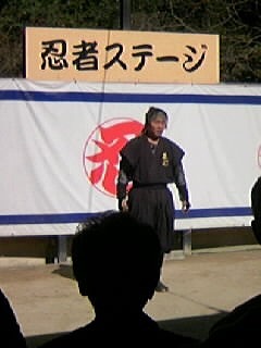 2014030302421_ninjya2.jpg