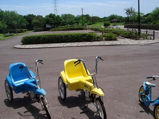 2014030302018_enshunada1.jpg
