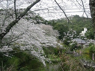 2014030303169_okuyama2.jpg
