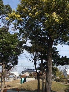 2014030304609_kami-park2.jpg