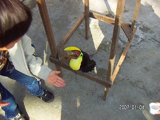 2014030308799_89D492B989802.jpg