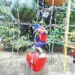 2014030308447_969C8FEA97CE92n82R-thumbnail2.jpg