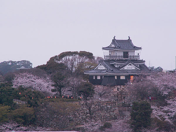 浜松城の桜