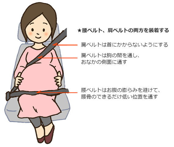 妊娠中のシートベルトの仕方