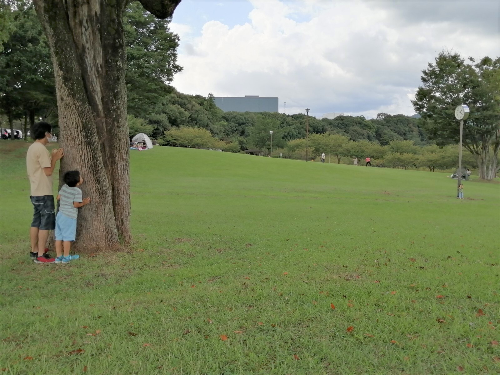 芝生広場