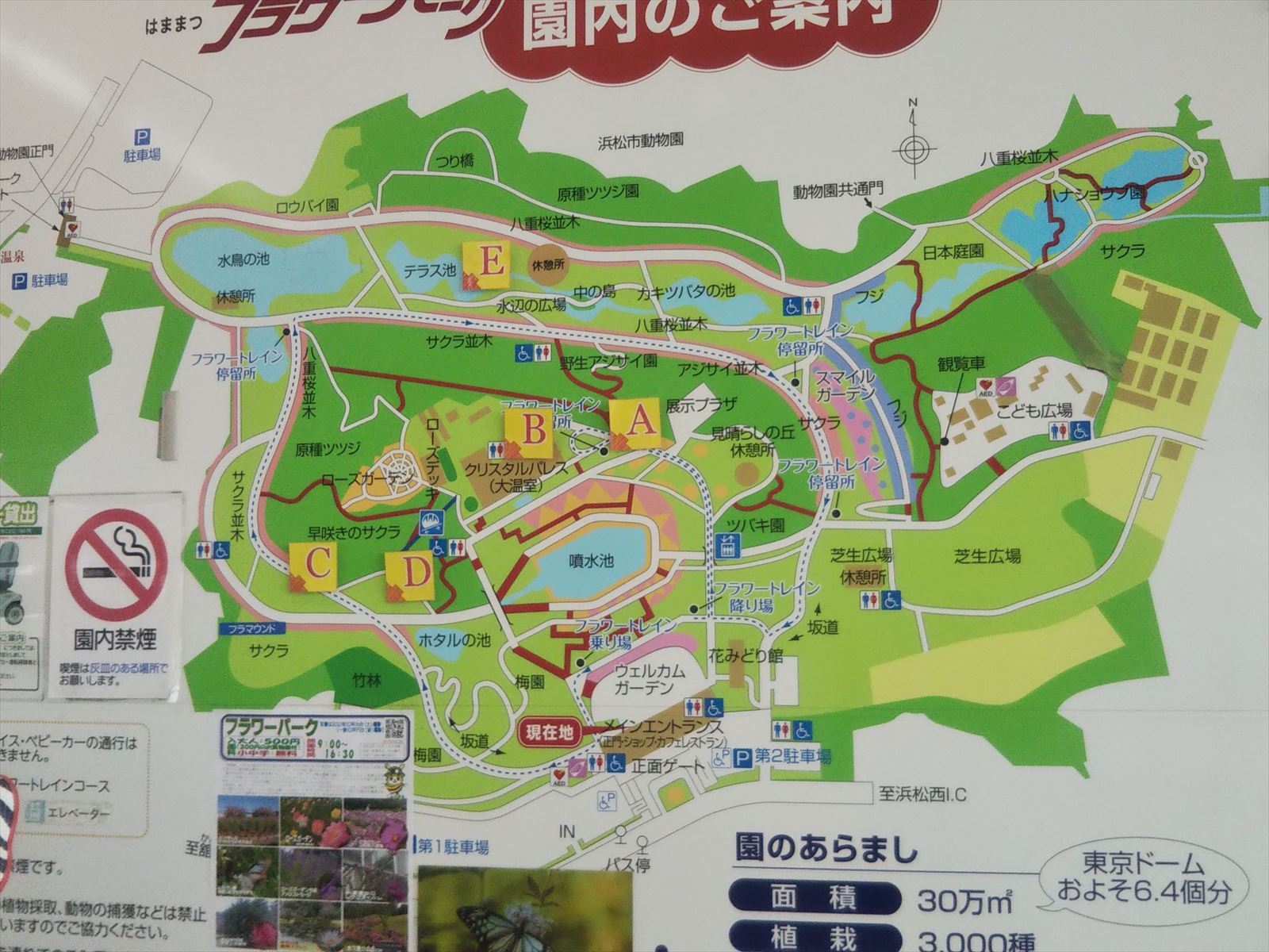 看板