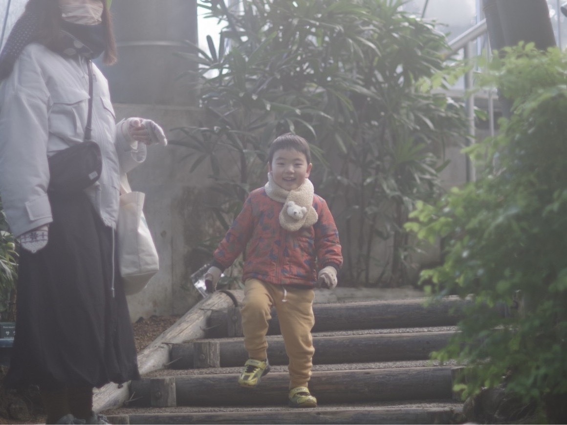 植物園を歩く子ども