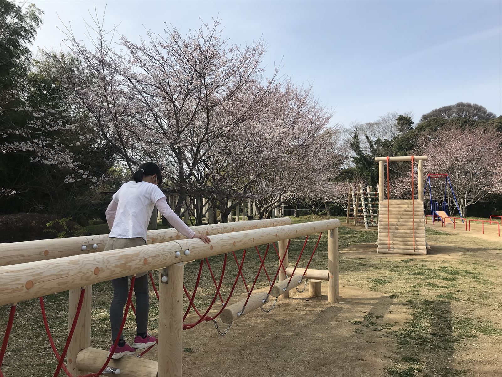 西之谷公園の桜