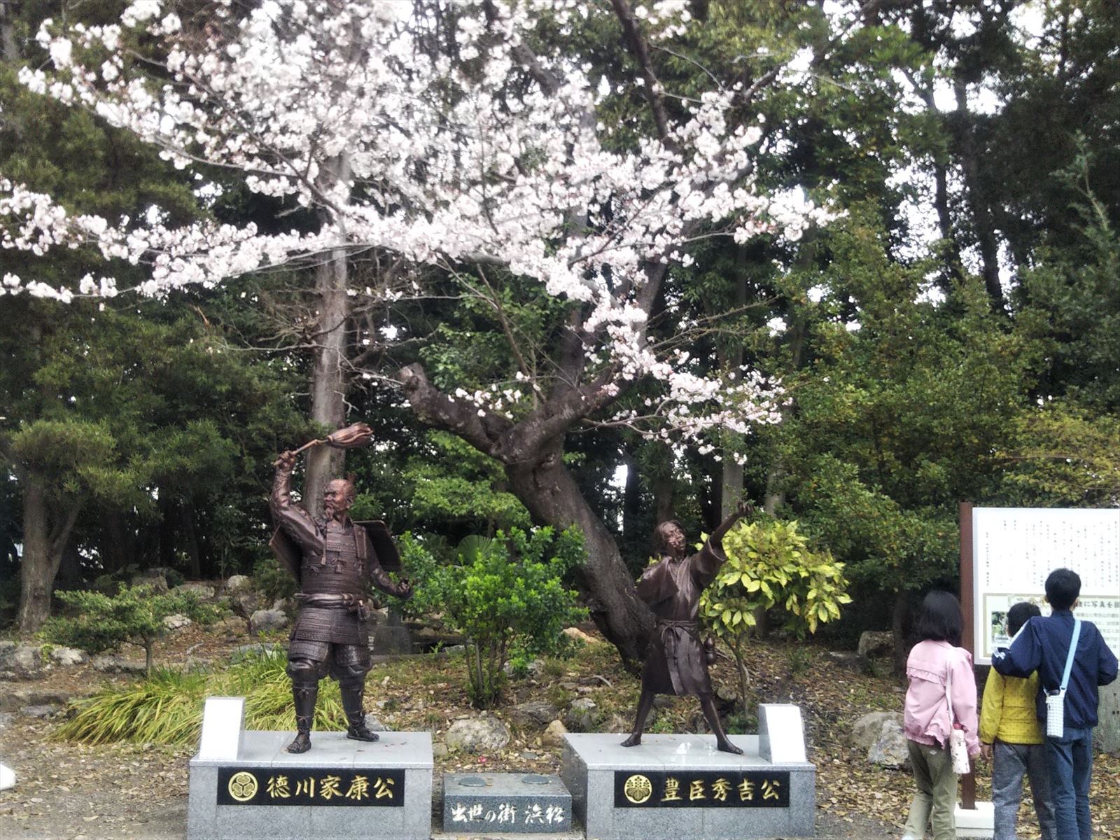 東照宮の桜