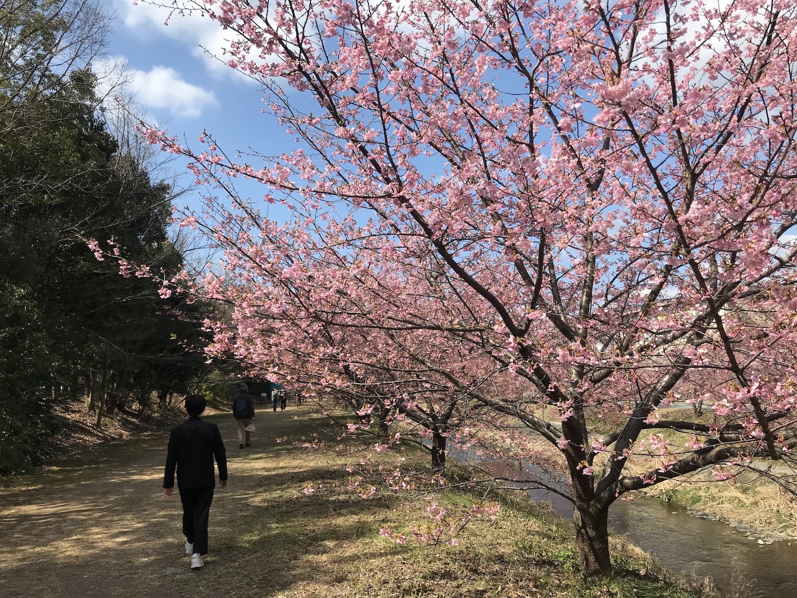 川沿いを