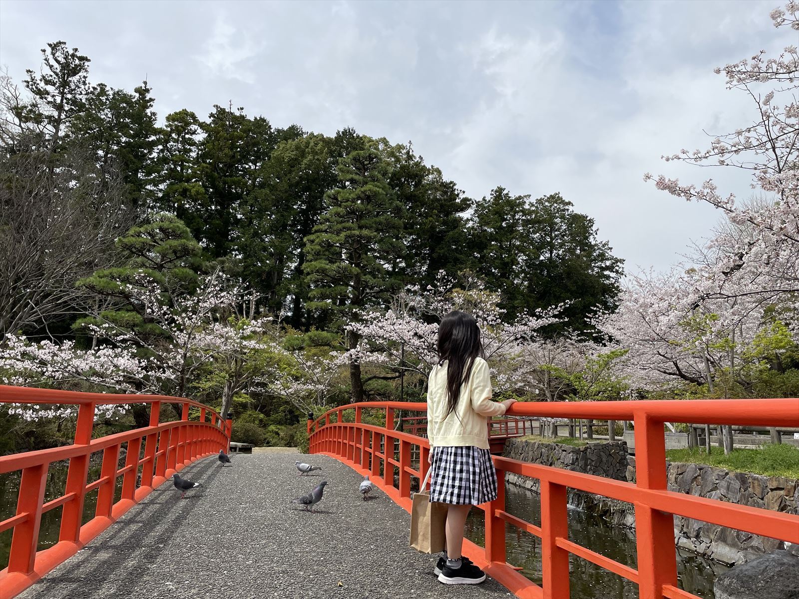 22浜松花めぐり 掛川城公園内のはす池の桜 浜松市子育て情報サイト ぴっぴ