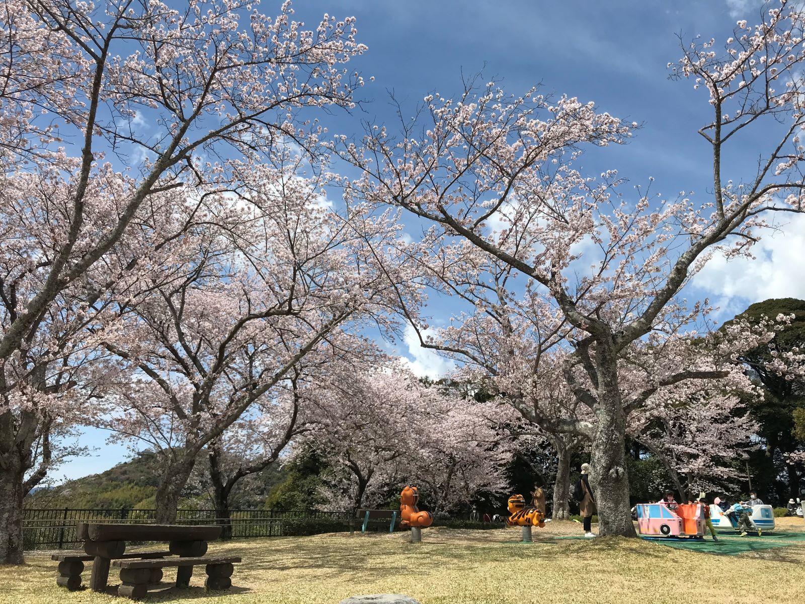 芝生のひろば