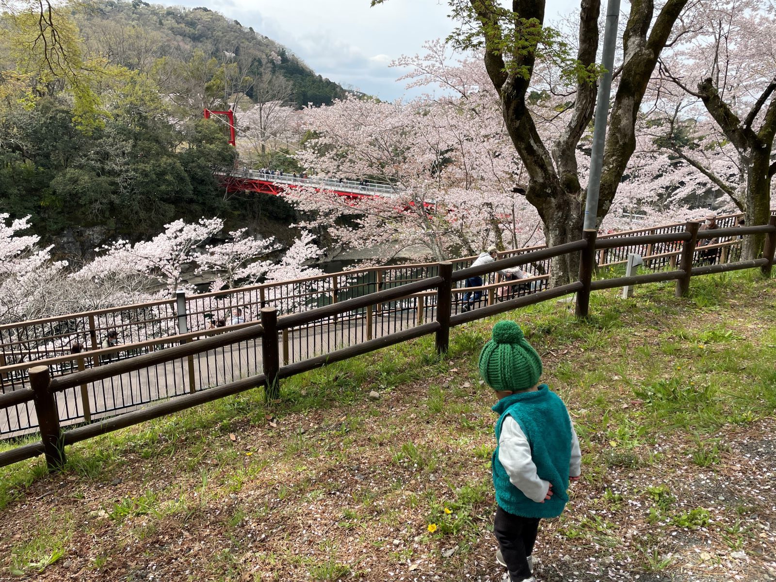 橋を眺める