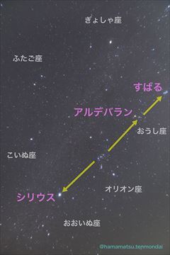 冬の星座