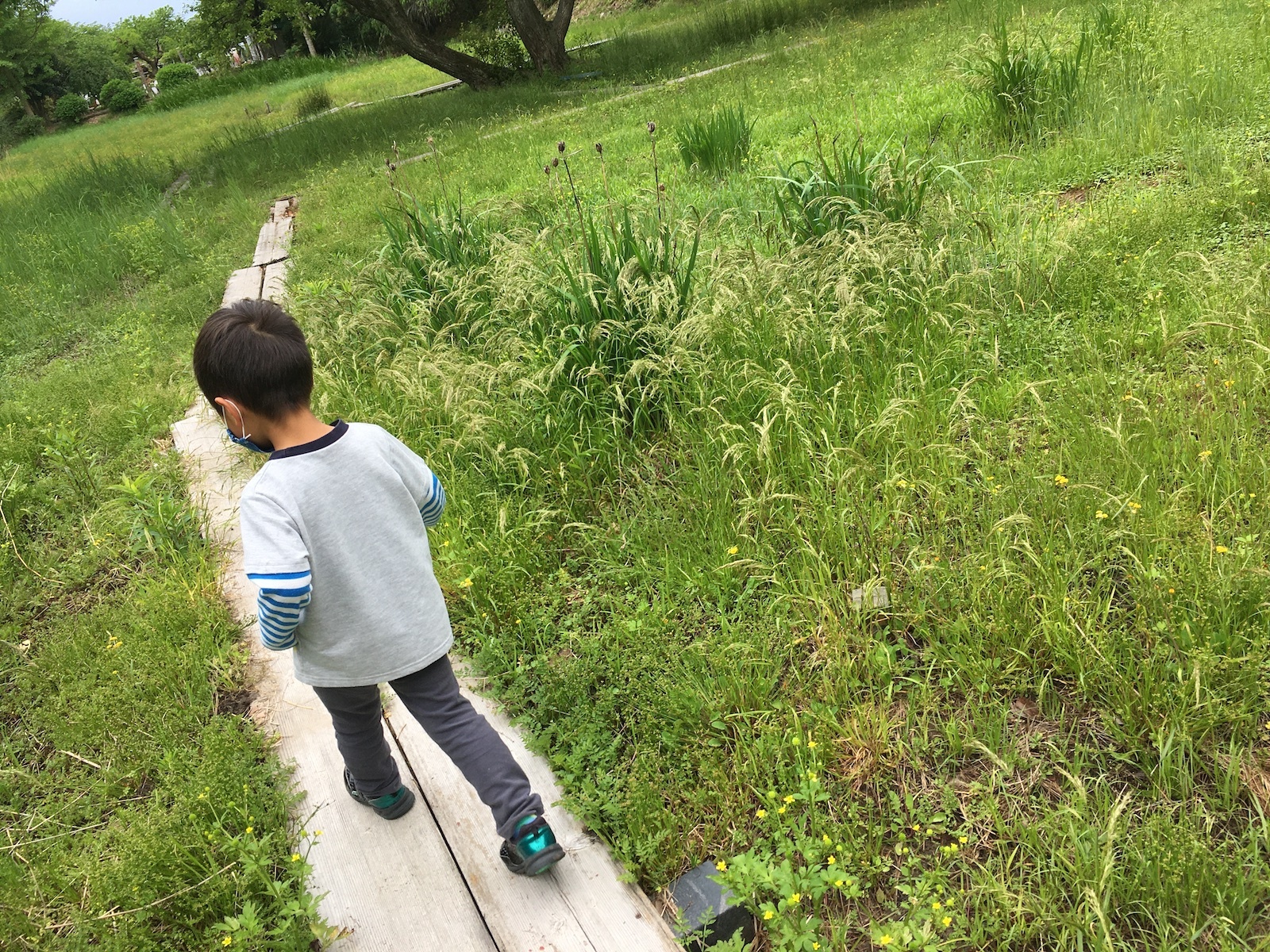 橋渡し