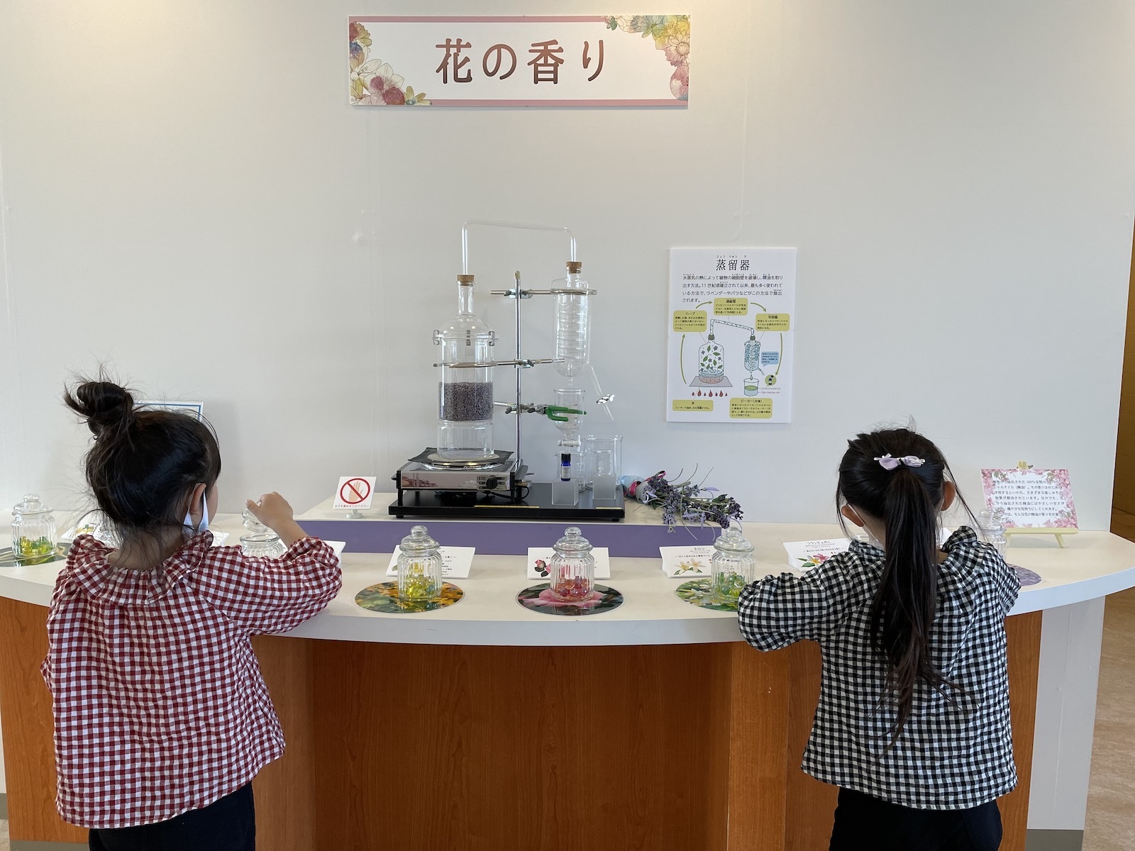 花の香り展示