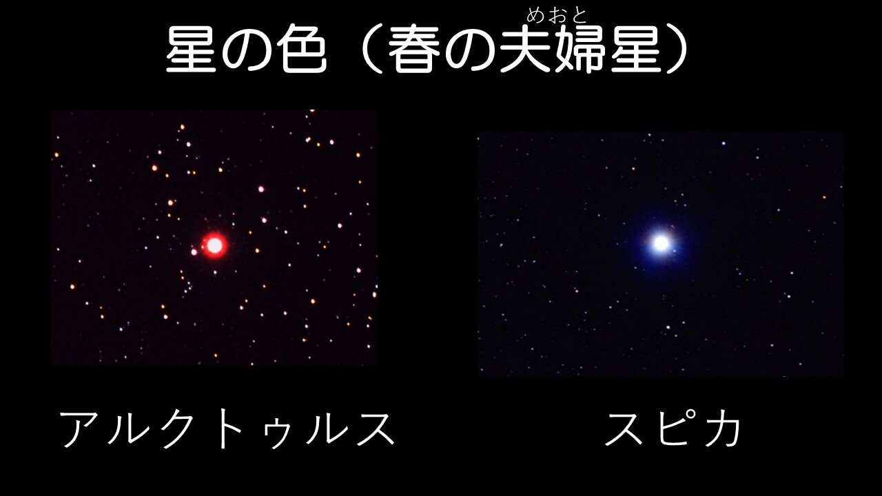 春の夫婦星(色比較)）