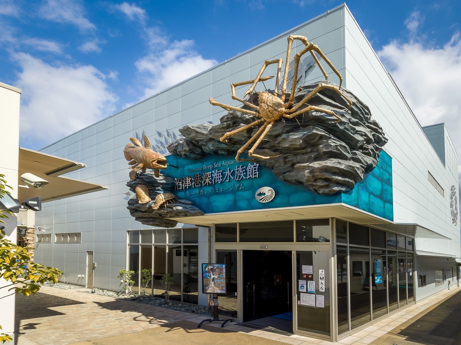 沼津港深海水族館