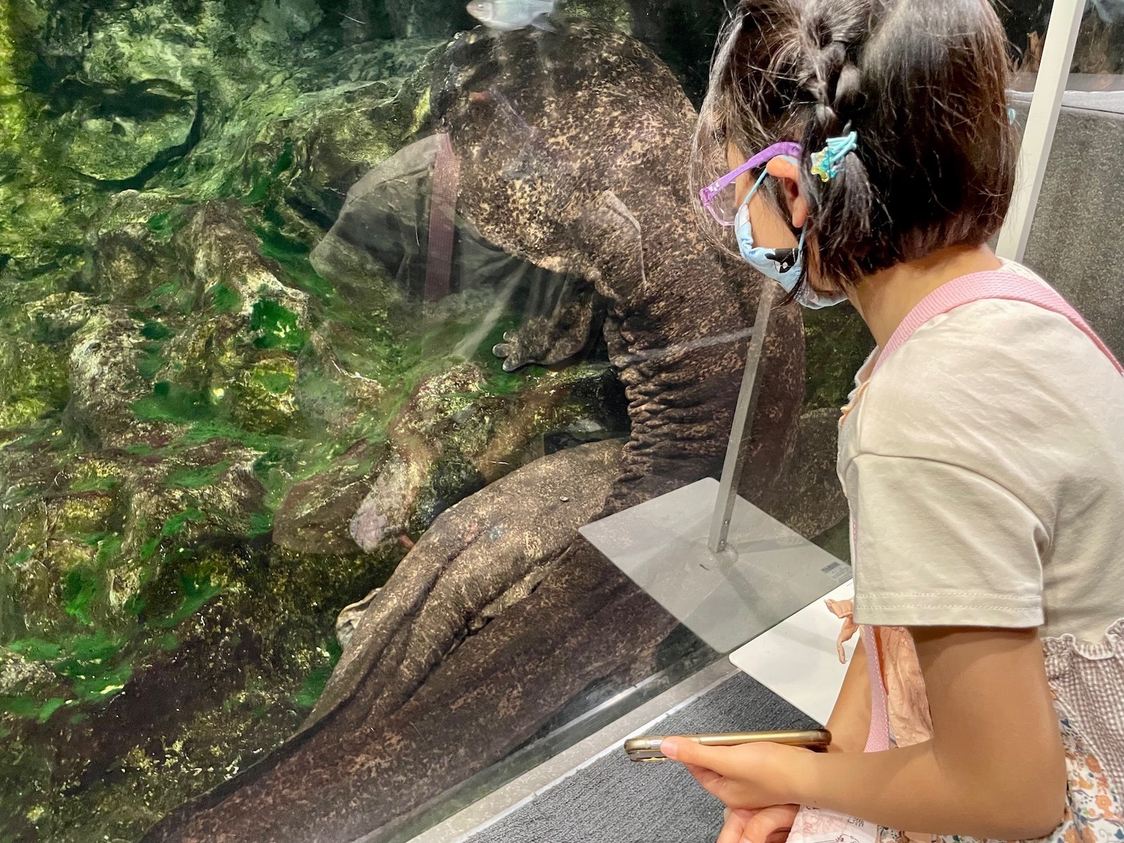 京都水族館