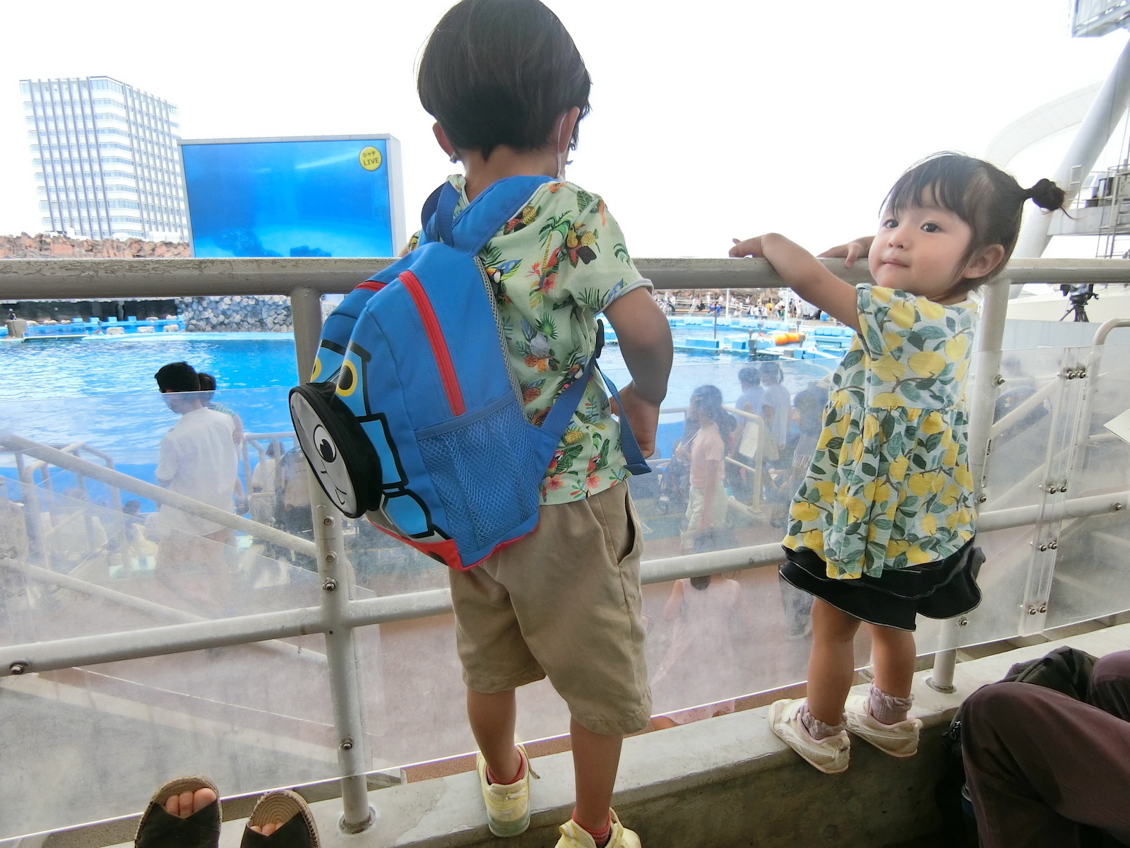 名古屋港水族館