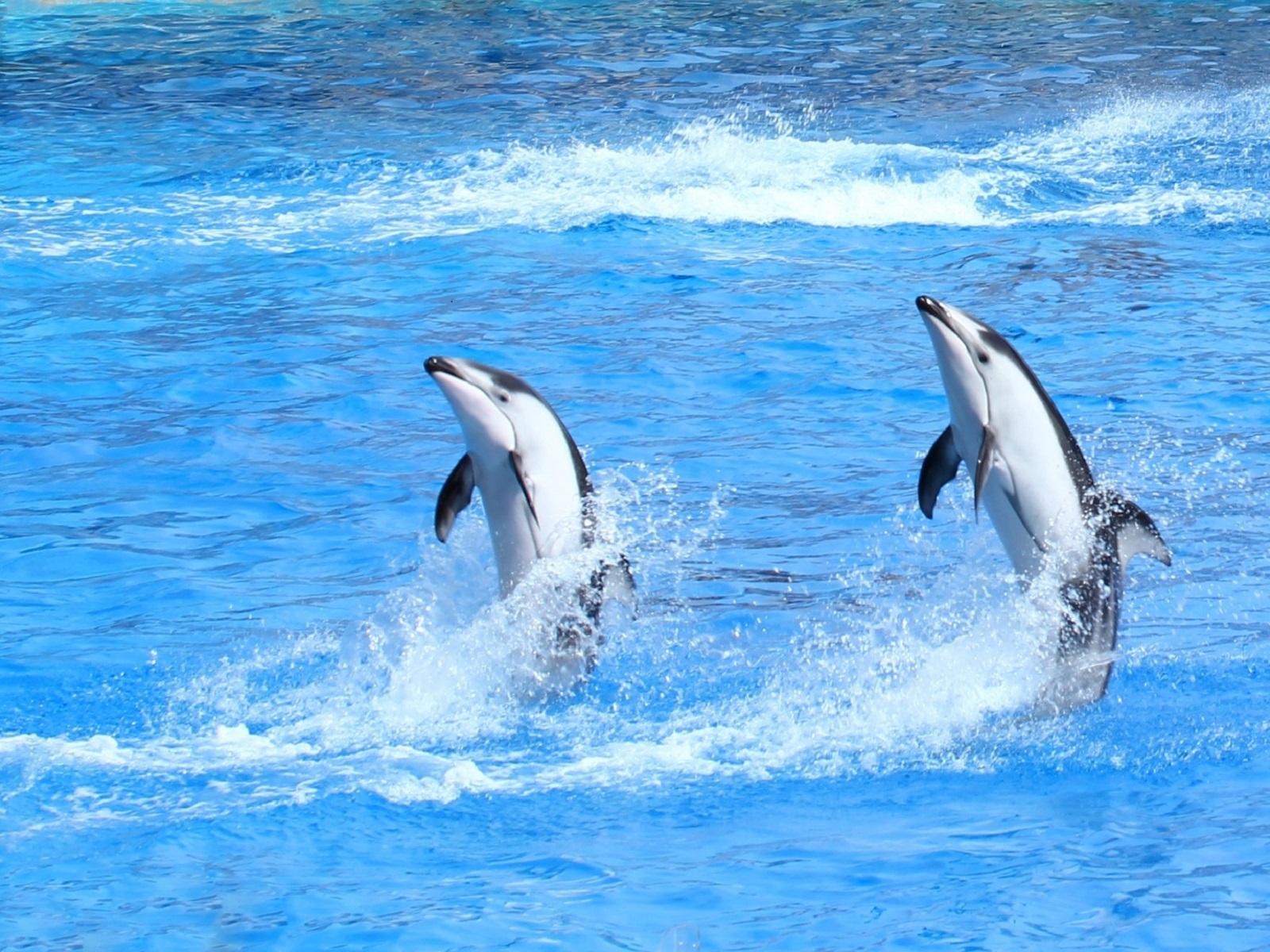 水族館_01