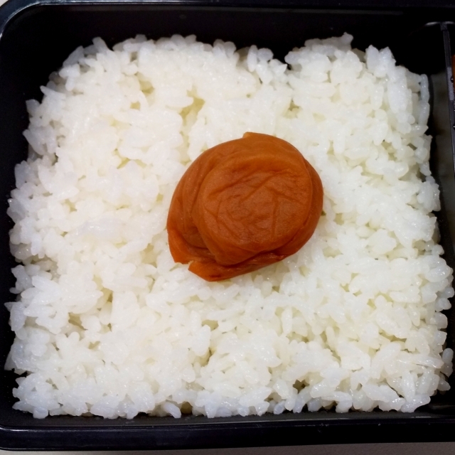 4 日の丸弁当.jpg