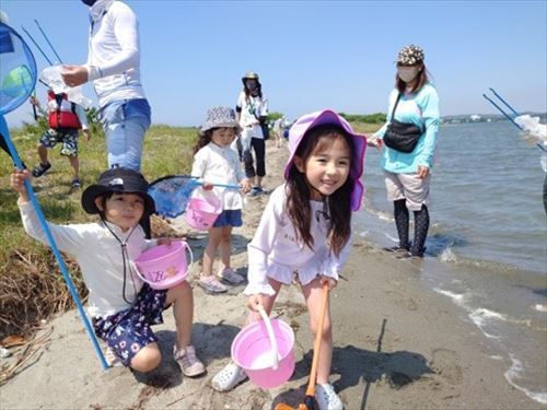 生き物探し