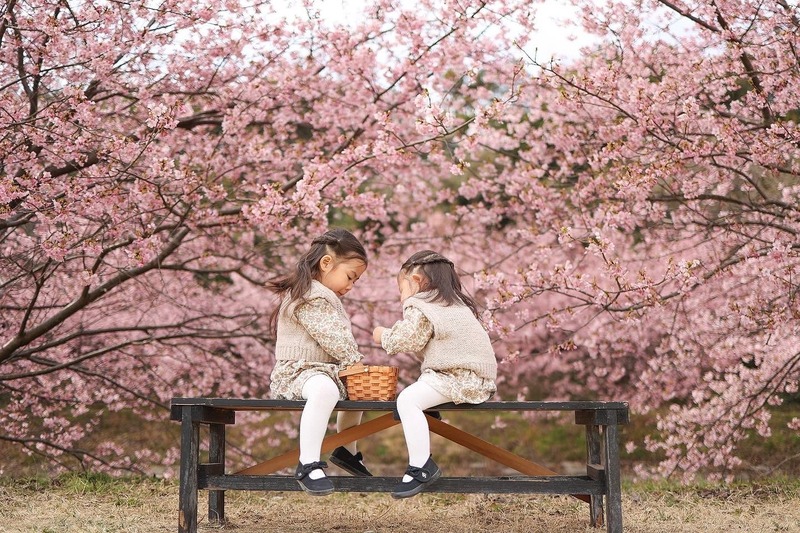 お花見【東大山】