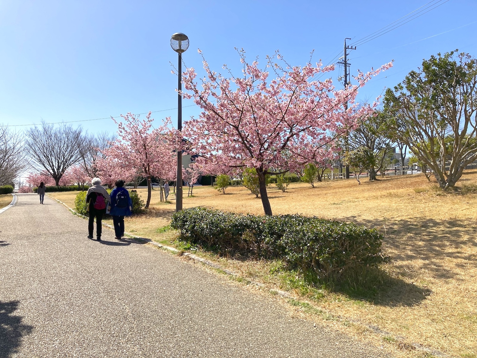 遊歩道