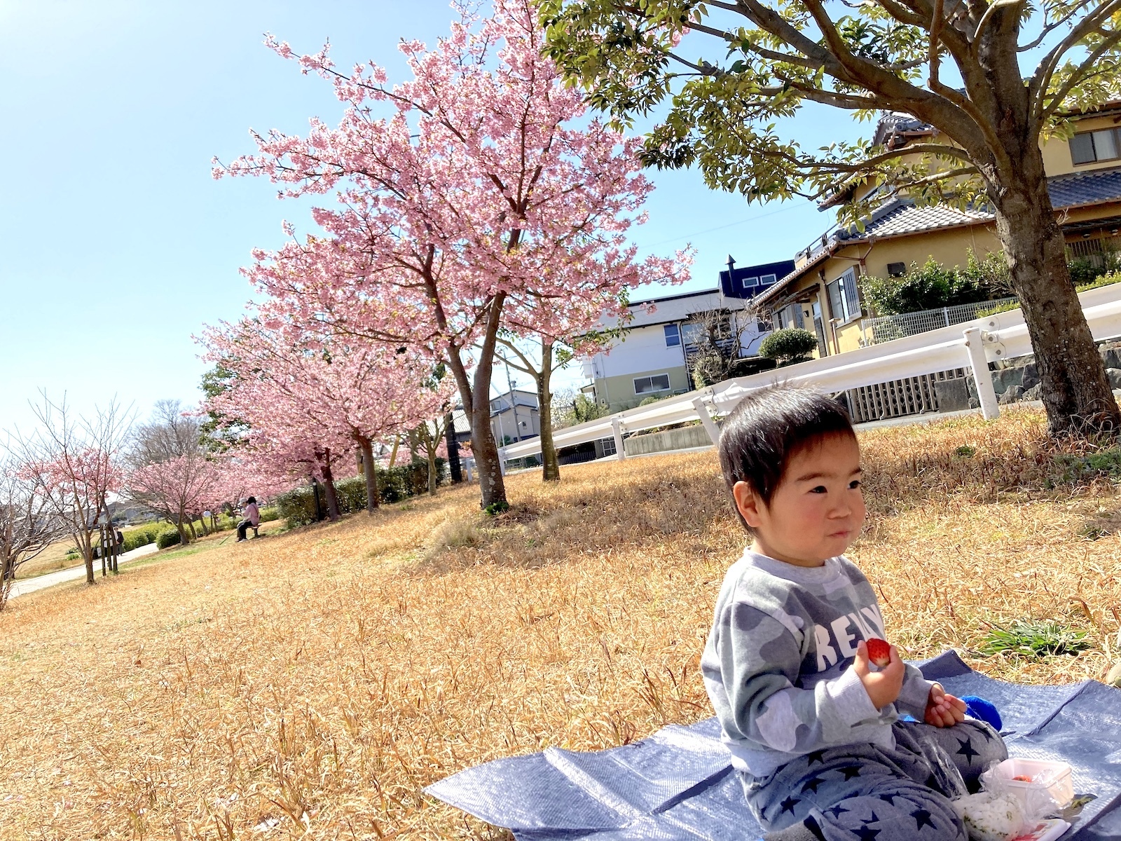 お弁当