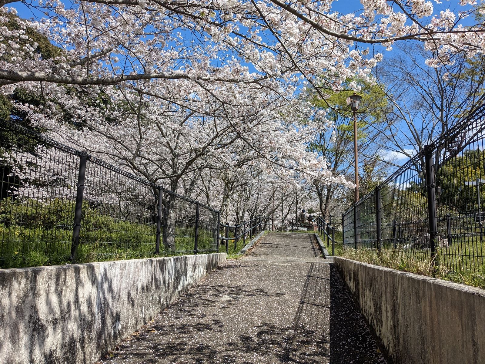 遊歩道