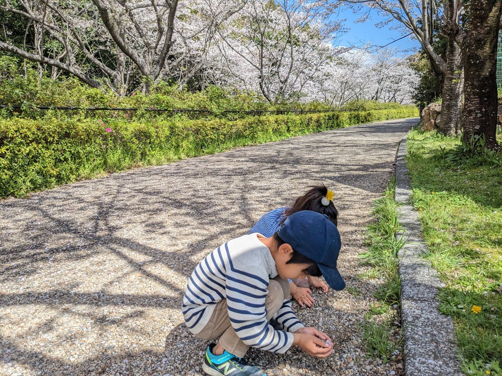 地面が気になる