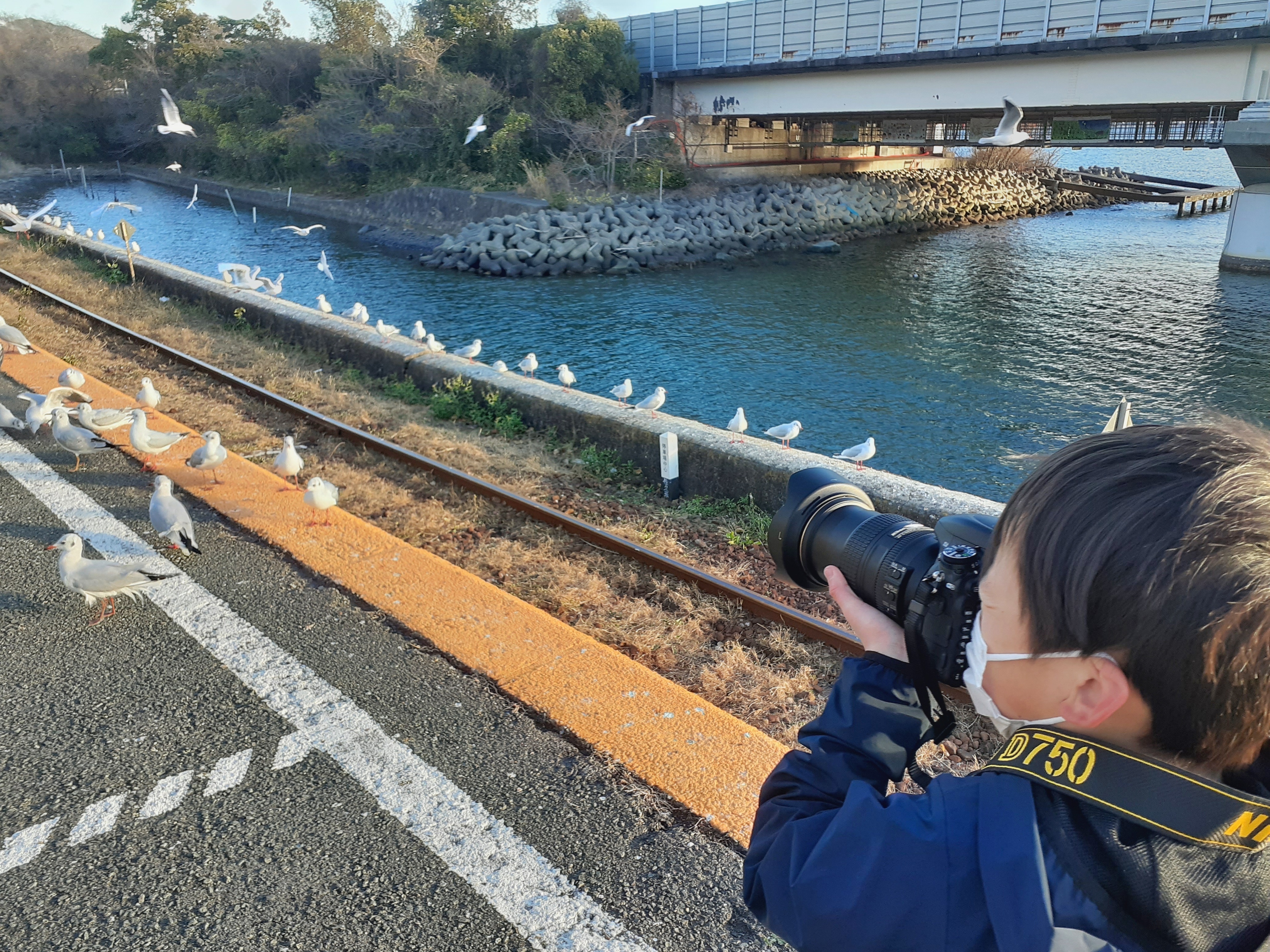 ゆりかもめと小さい写真家