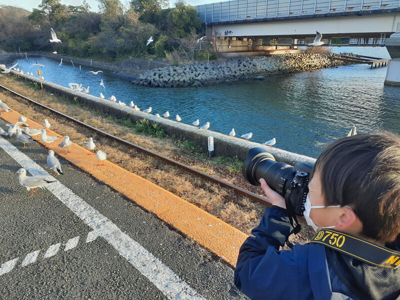ゆりかもめと小さい写真家【浜名湖佐久米駅】