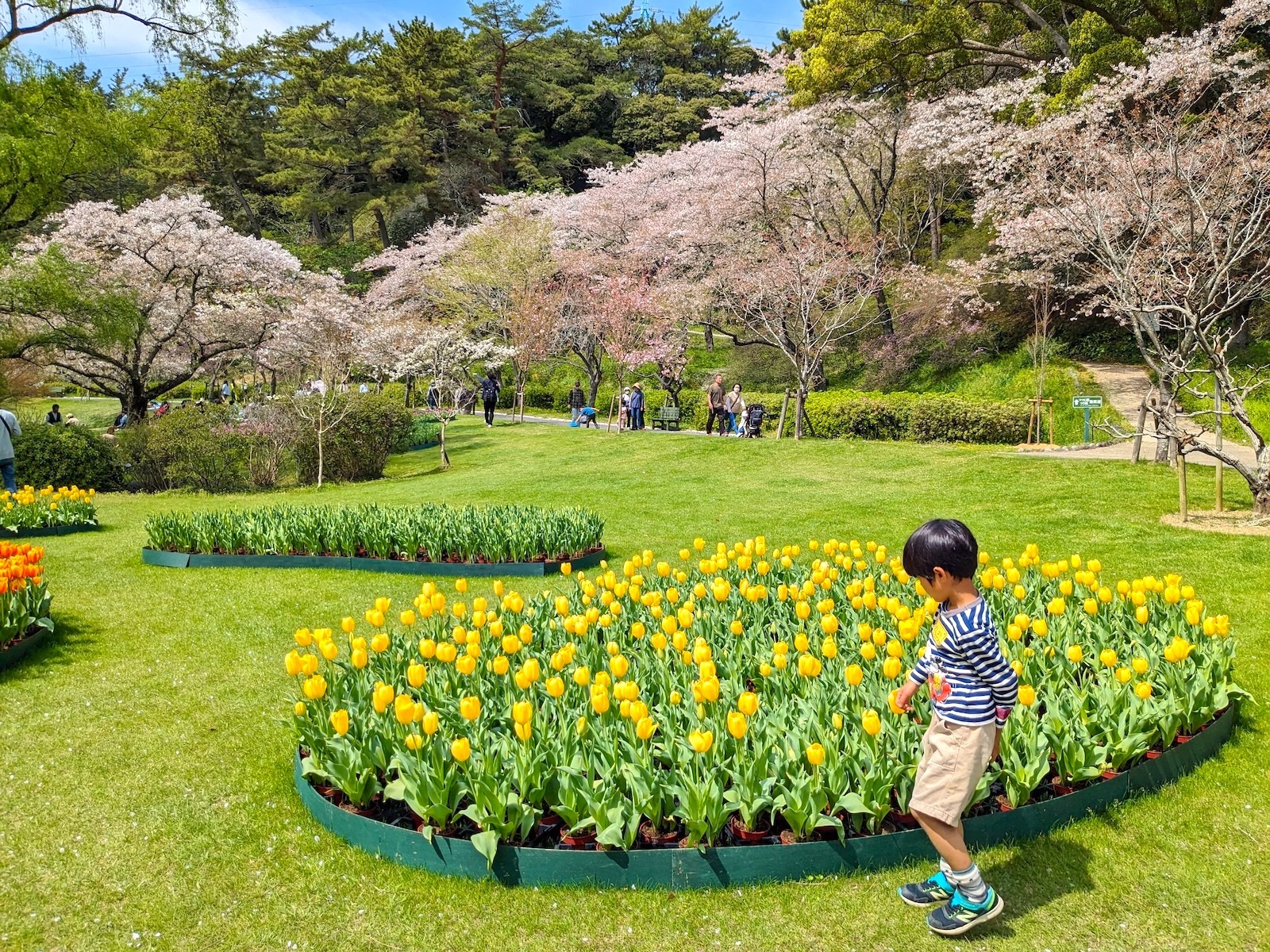 男の子