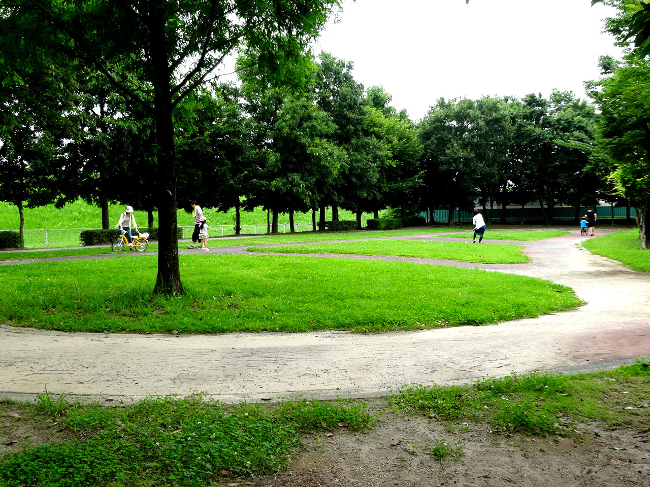 中瀬南部緑地の遊歩道